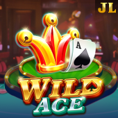 Wild Ace Lucky Win Casino slot